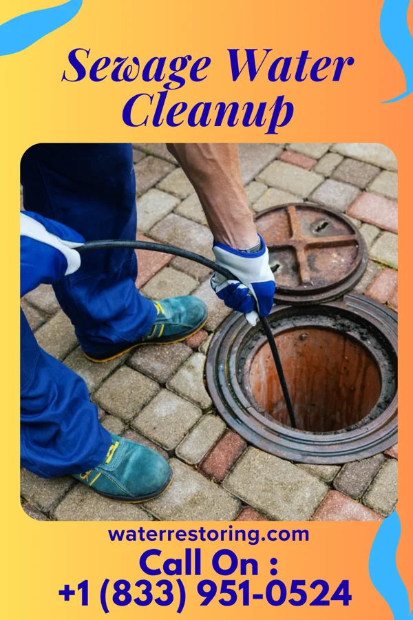 Sewage Water Cleanup in Edgewood, NM