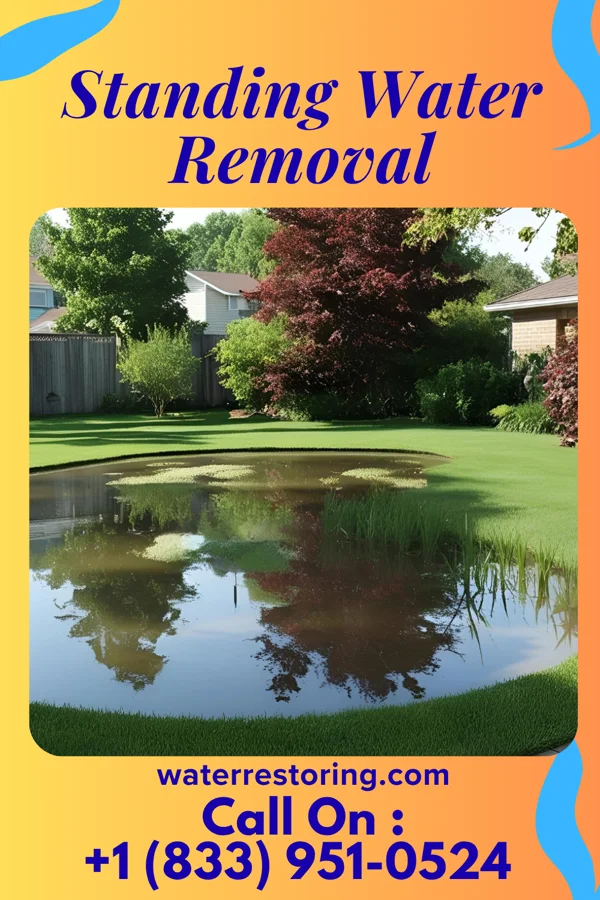 Standing Water Removal in Edgewood, NM